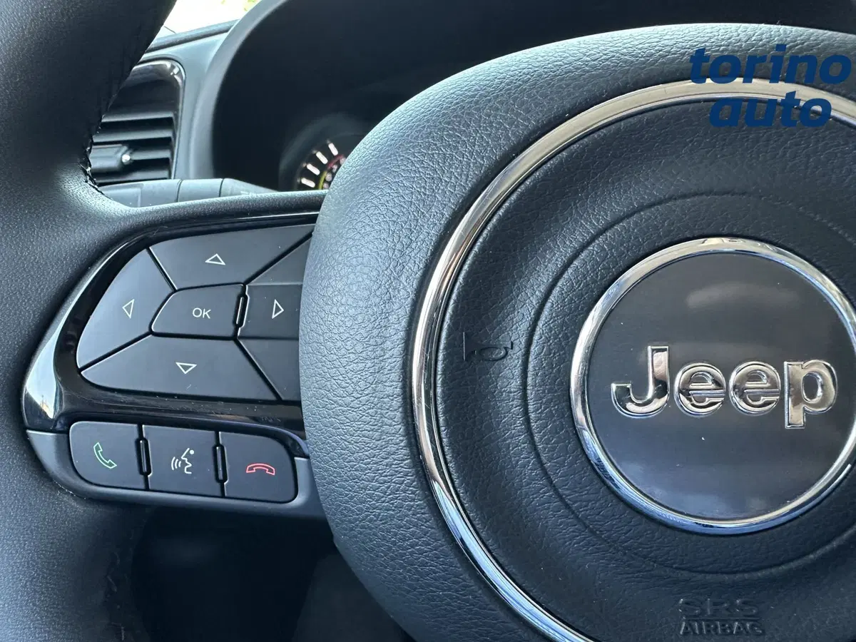 Jeep Renegade usata a Torino (18)