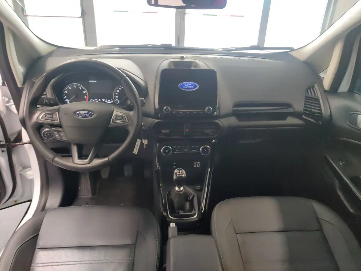 Ford EcoSport usata a Arezzo (11)