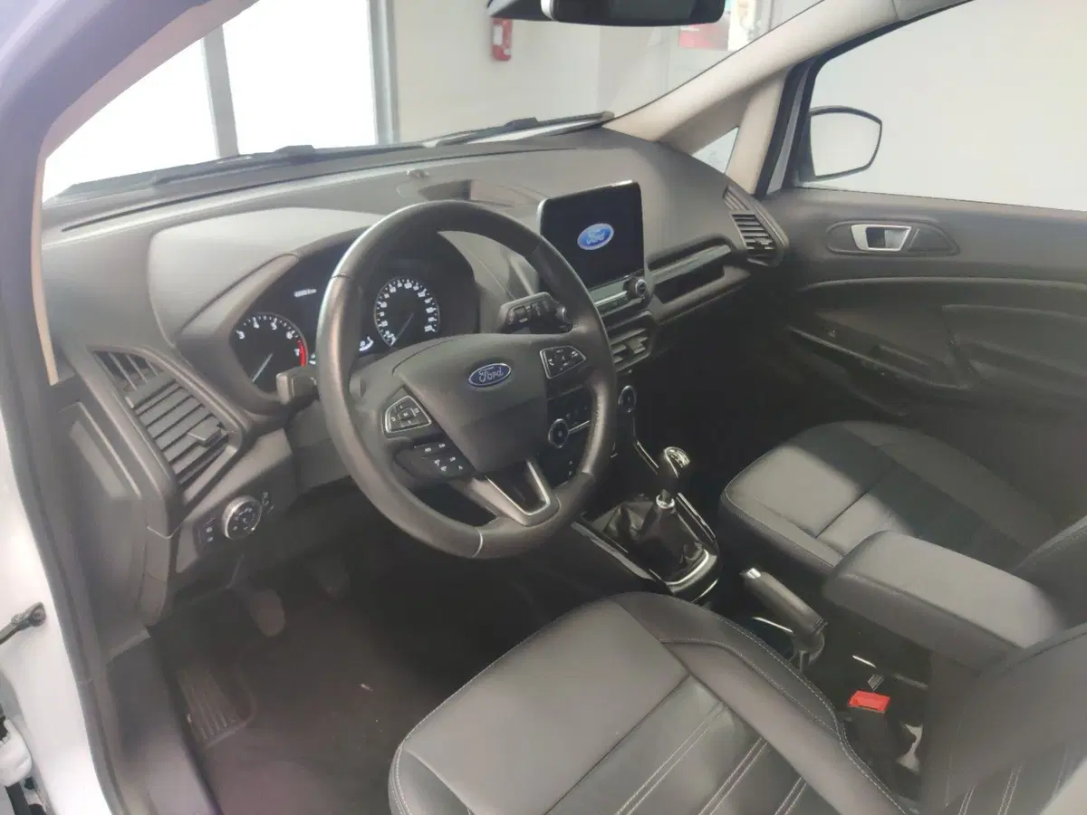 Ford EcoSport usata a Arezzo (12)