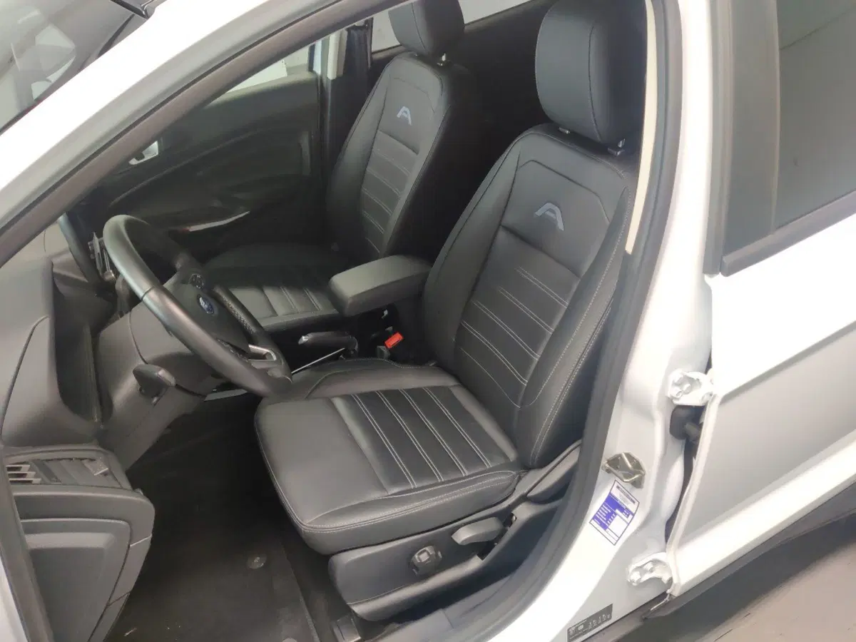 Ford EcoSport usata a Arezzo (13)