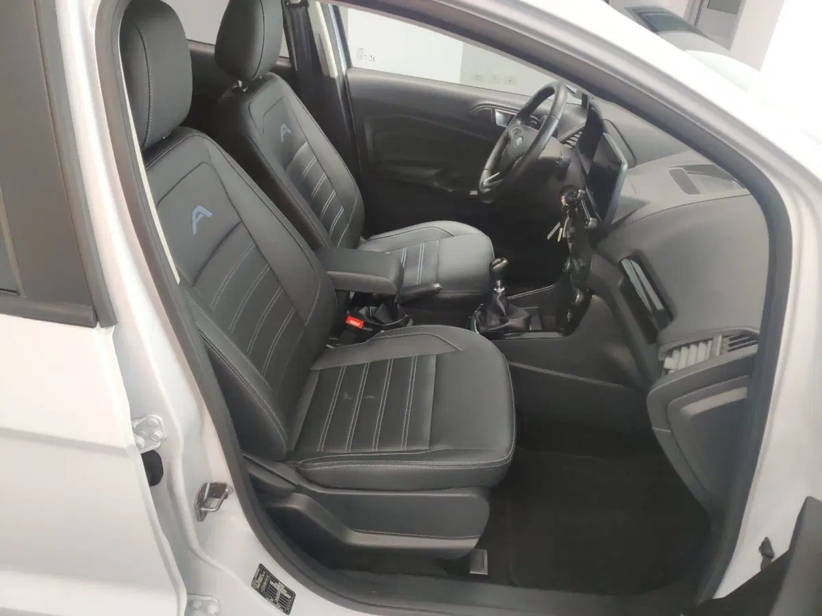 Ford EcoSport usata a Arezzo (14)