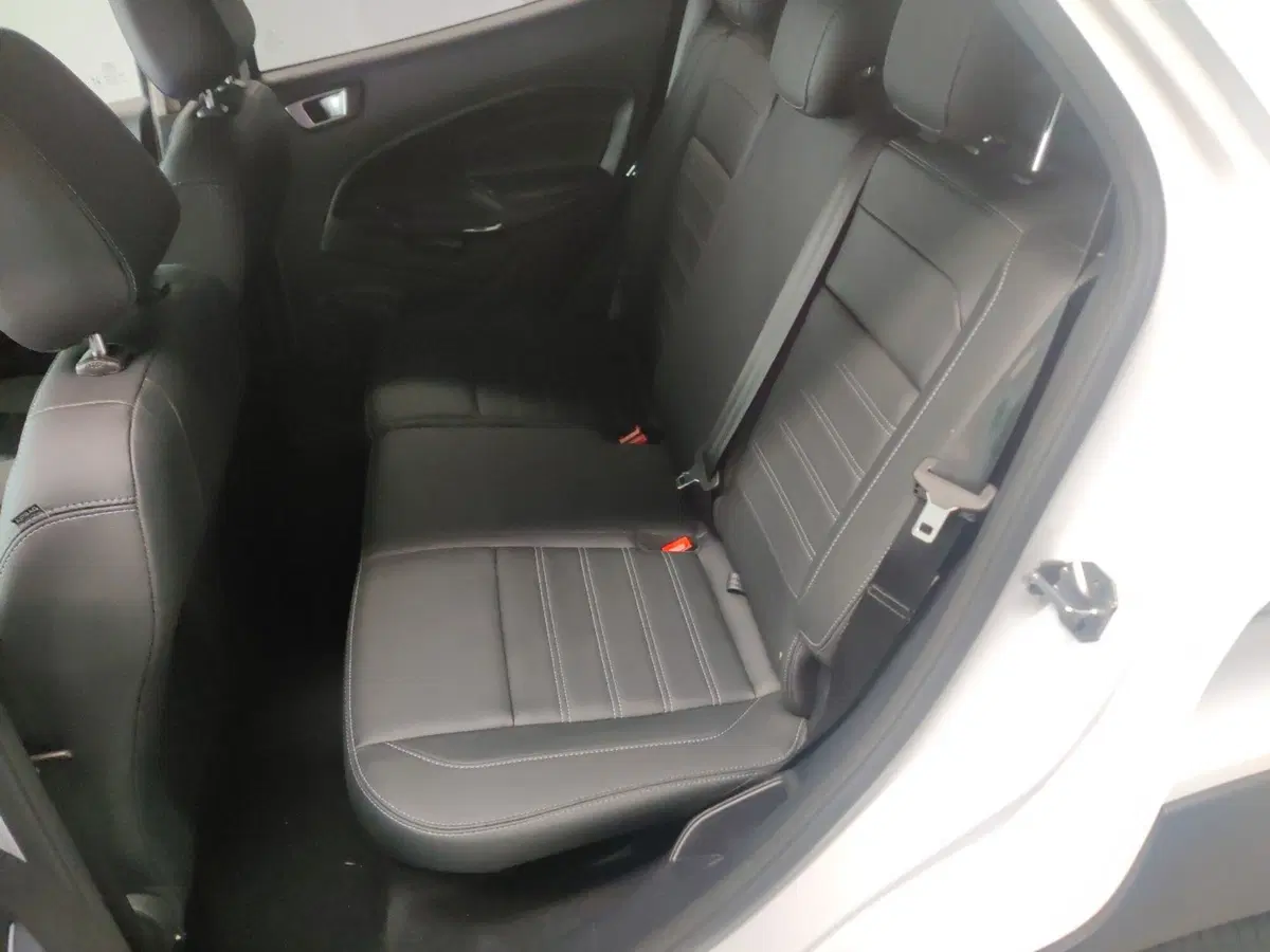 Ford EcoSport usata a Arezzo (15)