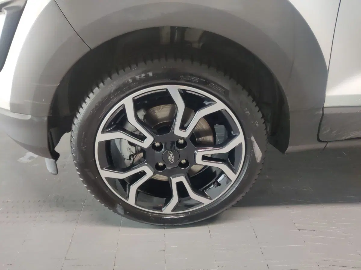Ford EcoSport usata a Arezzo (9)
