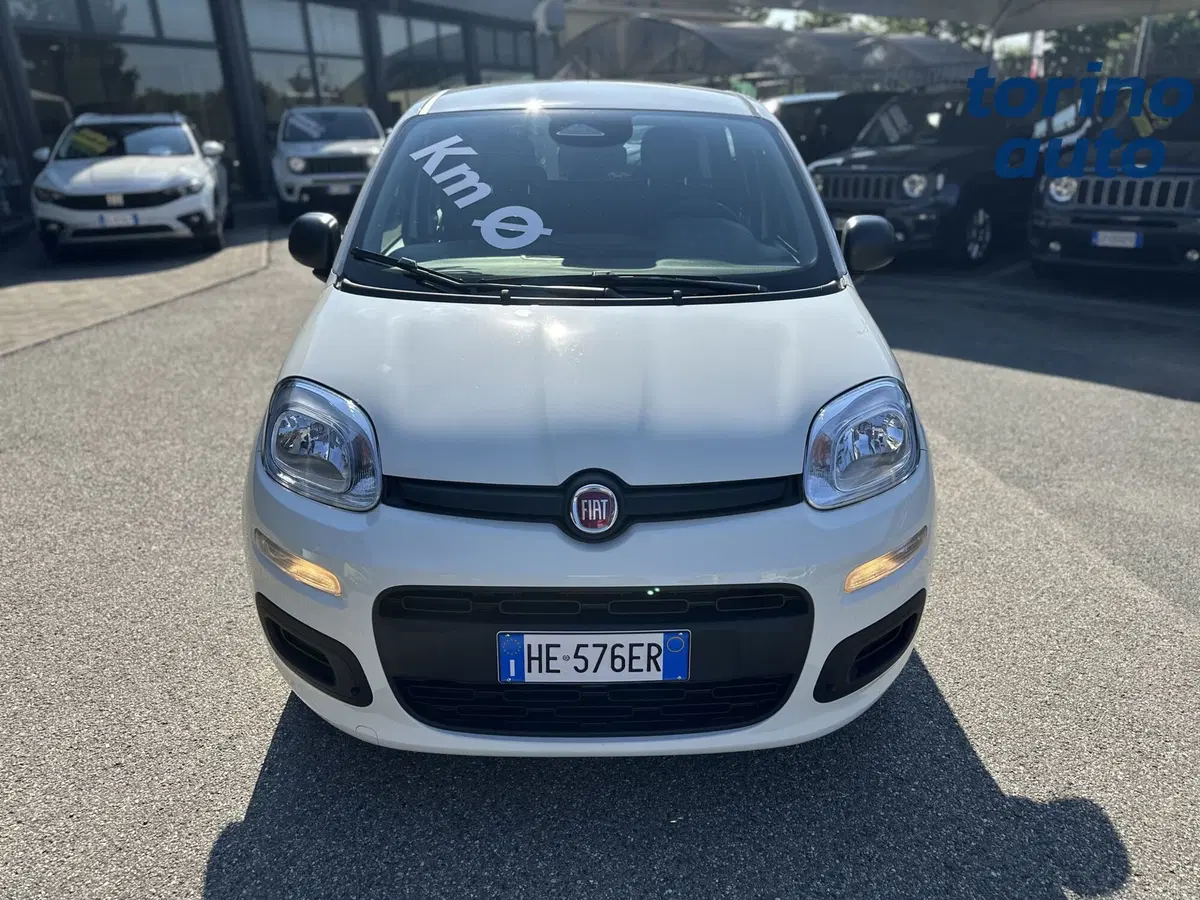 Fiat Pandina nuova a Torino (2)
