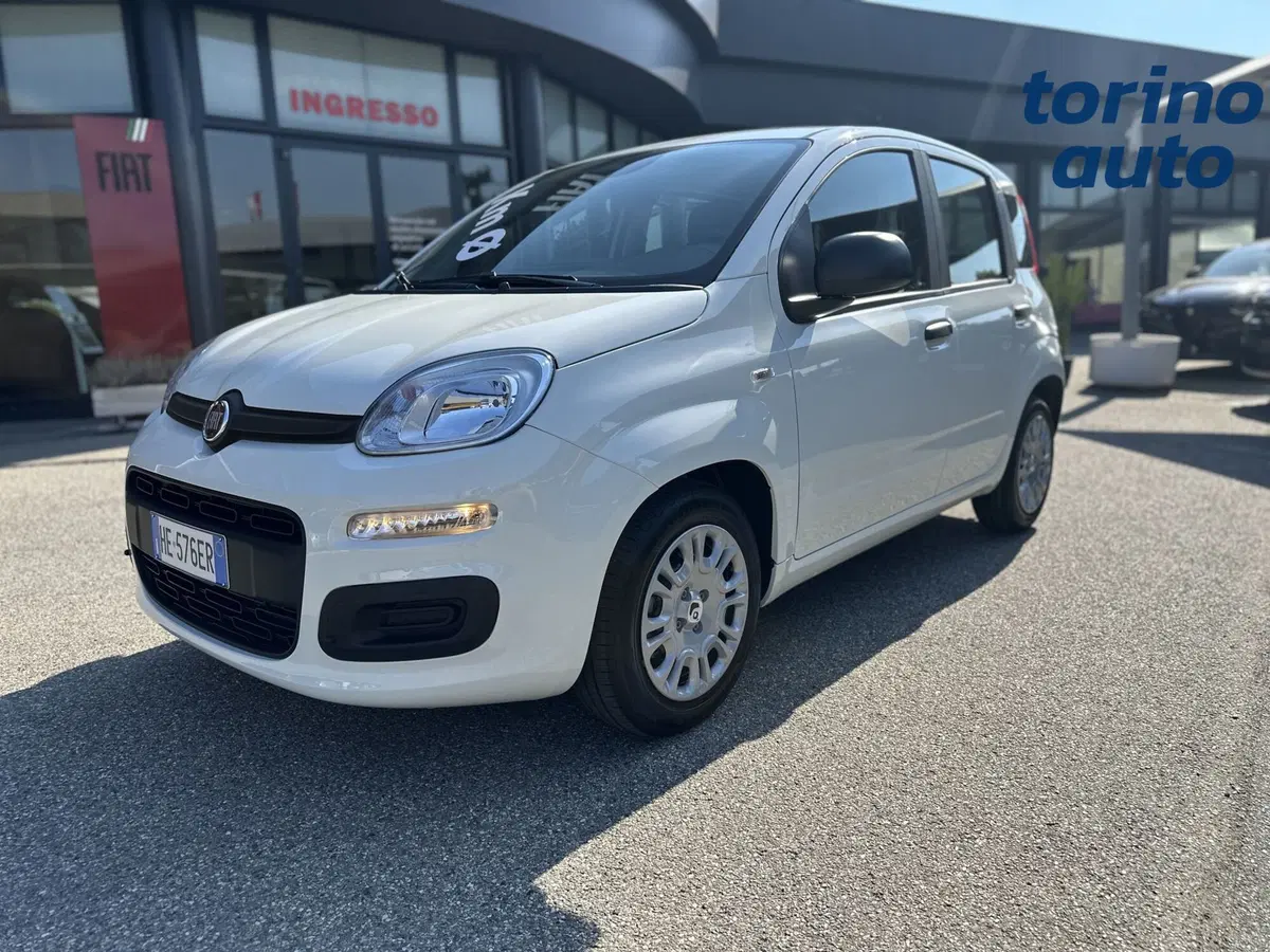 Fiat Pandina nuova a Torino (3)