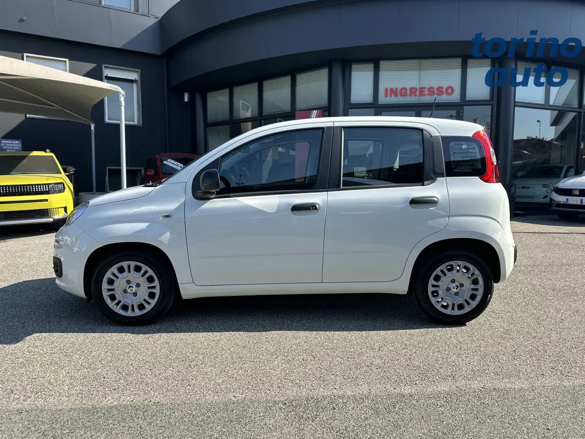 Fiat Pandina nuova a Torino (4)