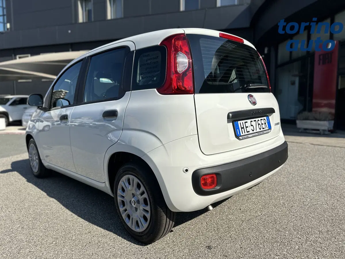 Fiat Pandina nuova a Torino (5)