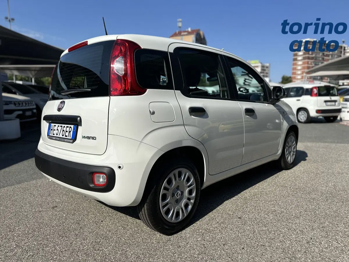 Fiat Pandina nuova a Torino (7)