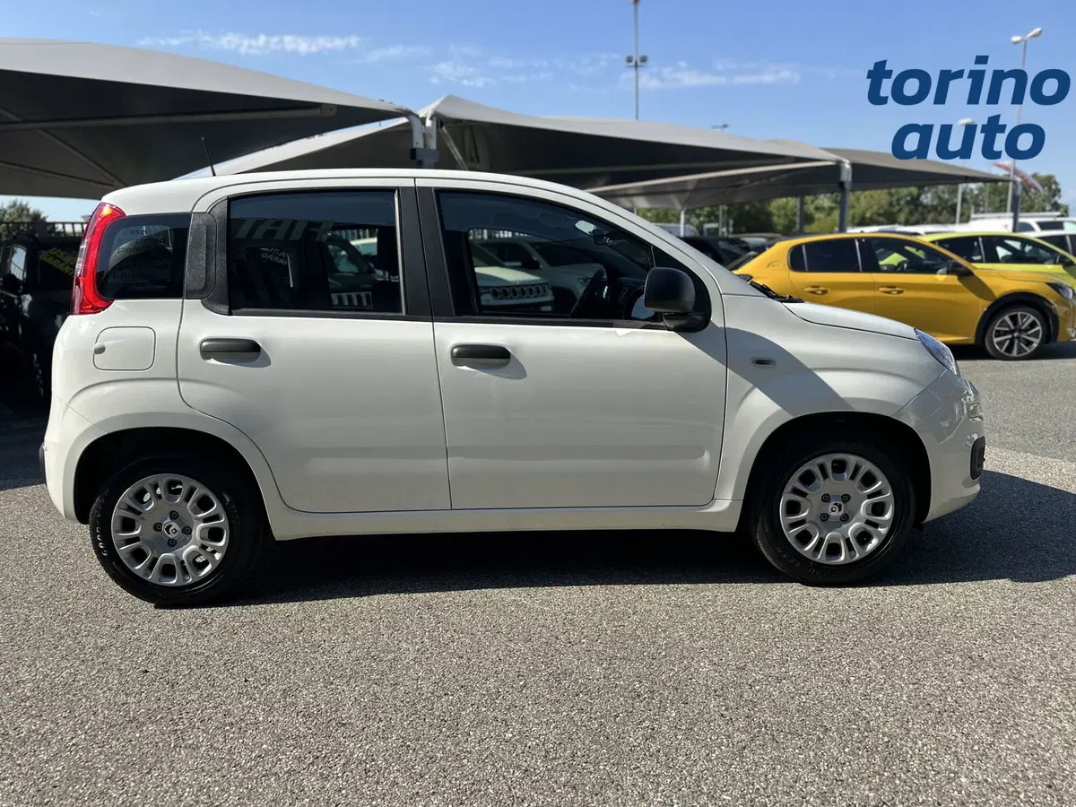 Fiat Pandina nuova a Torino (8)