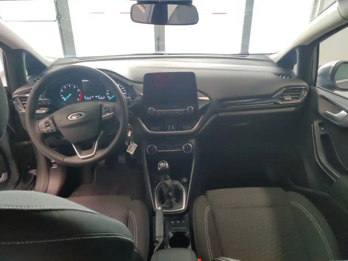 Ford Fiesta usata a Arezzo (11)