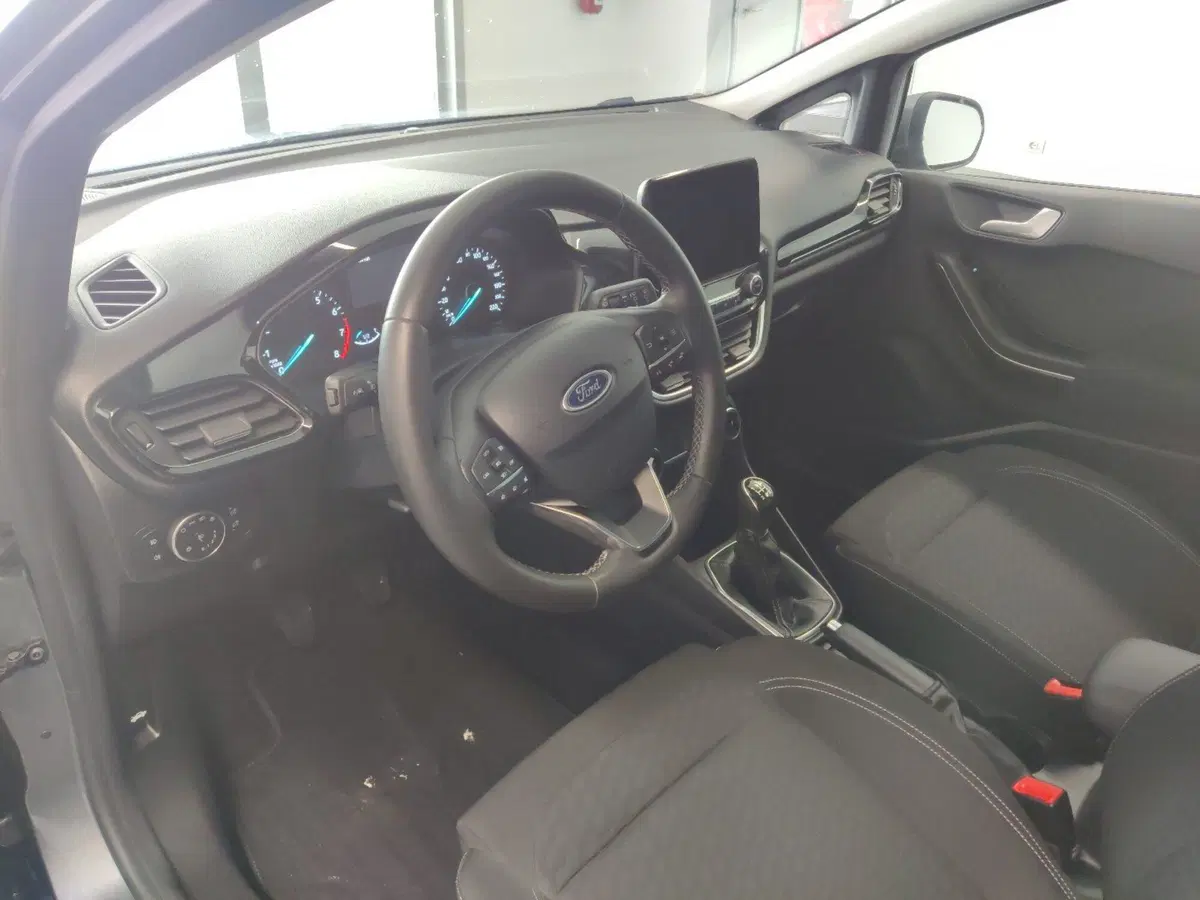 Ford Fiesta usata a Arezzo (12)
