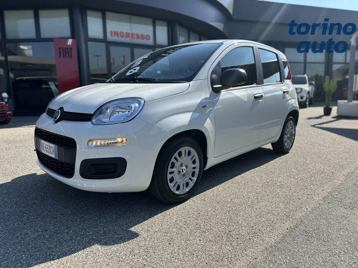 Fiat Pandina nuova a Torino (3)