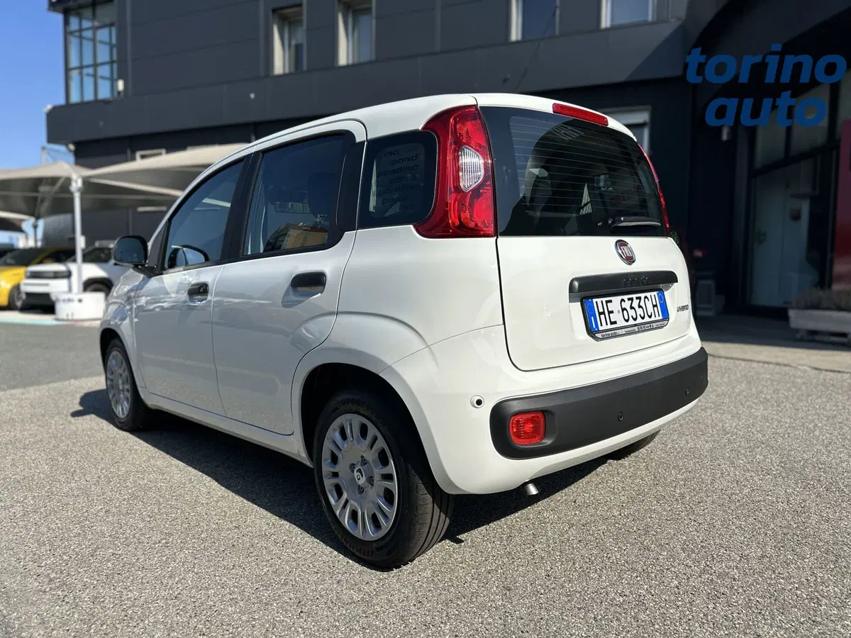 Fiat Pandina nuova a Torino (5)