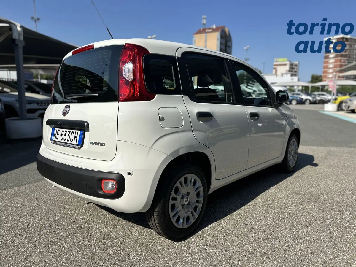 Fiat Pandina nuova a Torino (7)
