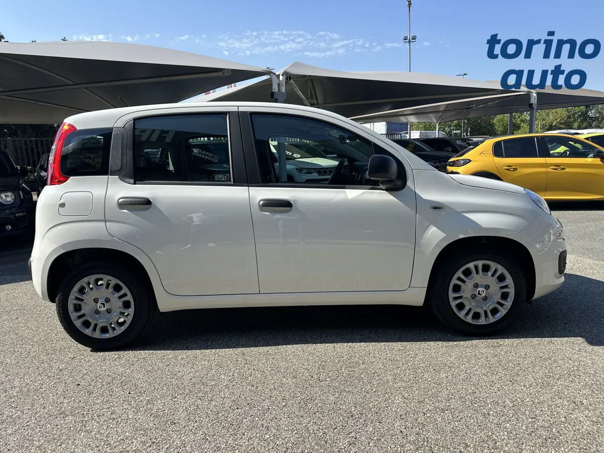 Fiat Pandina nuova a Torino (8)