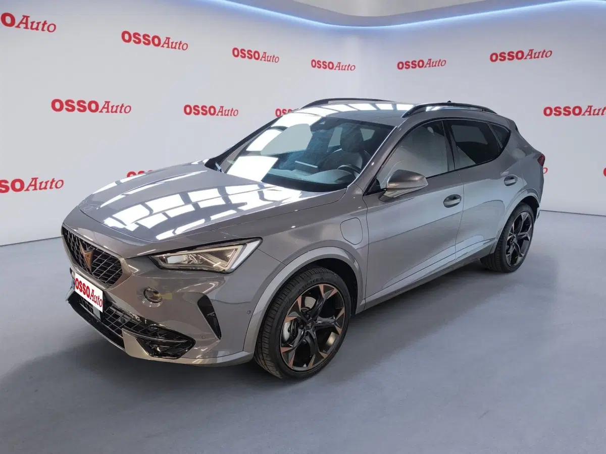 Cupra Formentor usata a Udine