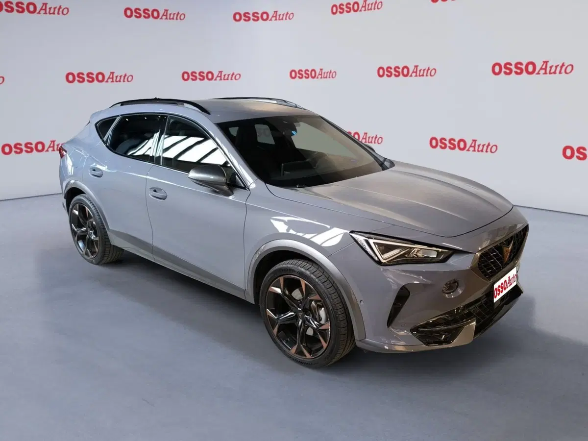 Cupra Formentor usata a Udine (2)