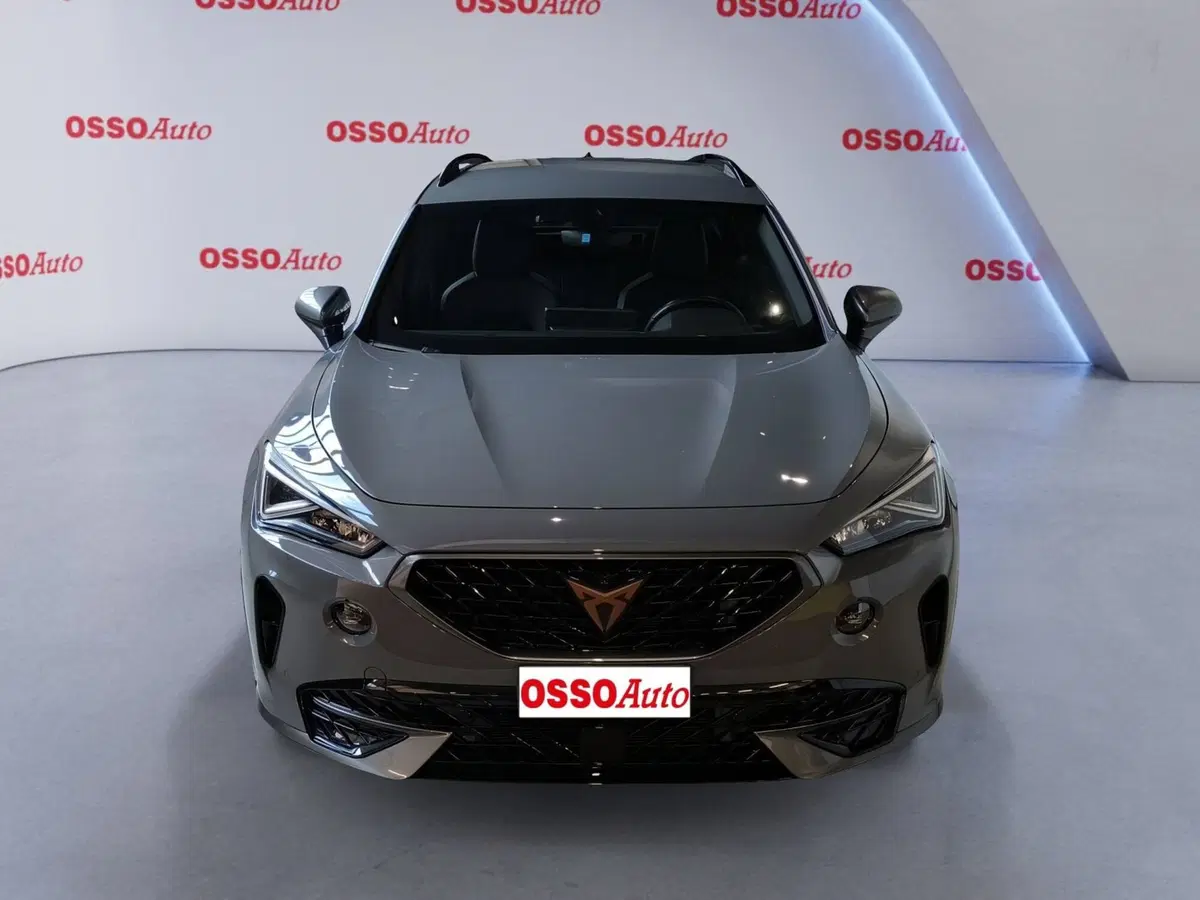 Cupra Formentor usata a Udine (5)