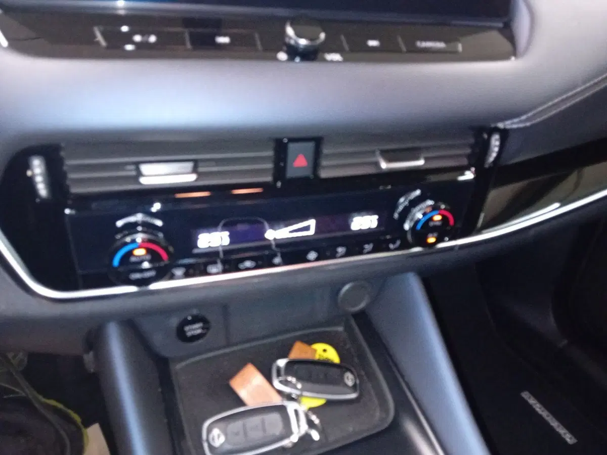 Nissan Qashqai usata a Vicenza (19)