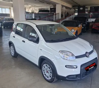 Fiat Panda 1.0 firefly hybrid s&amp;s 70cv 5p.ti del 2024 usata a Orvieto