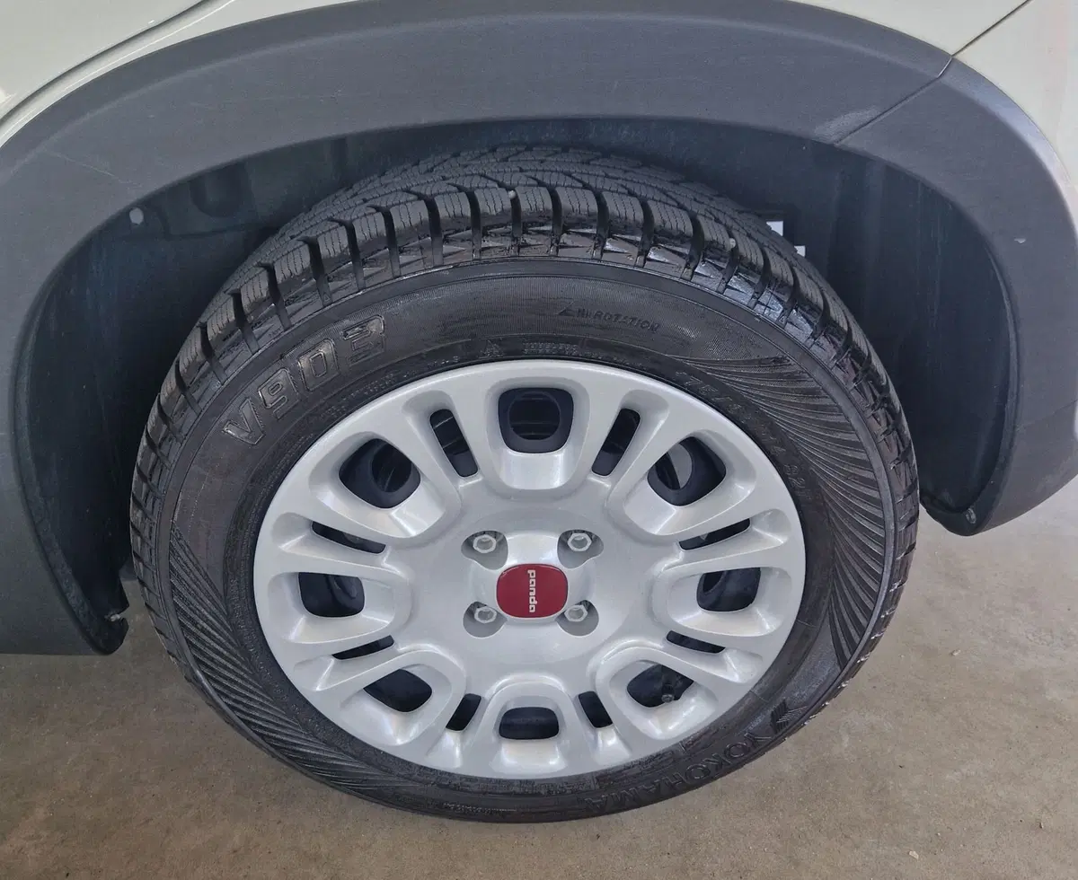 Fiat Panda usata a Terni (15)