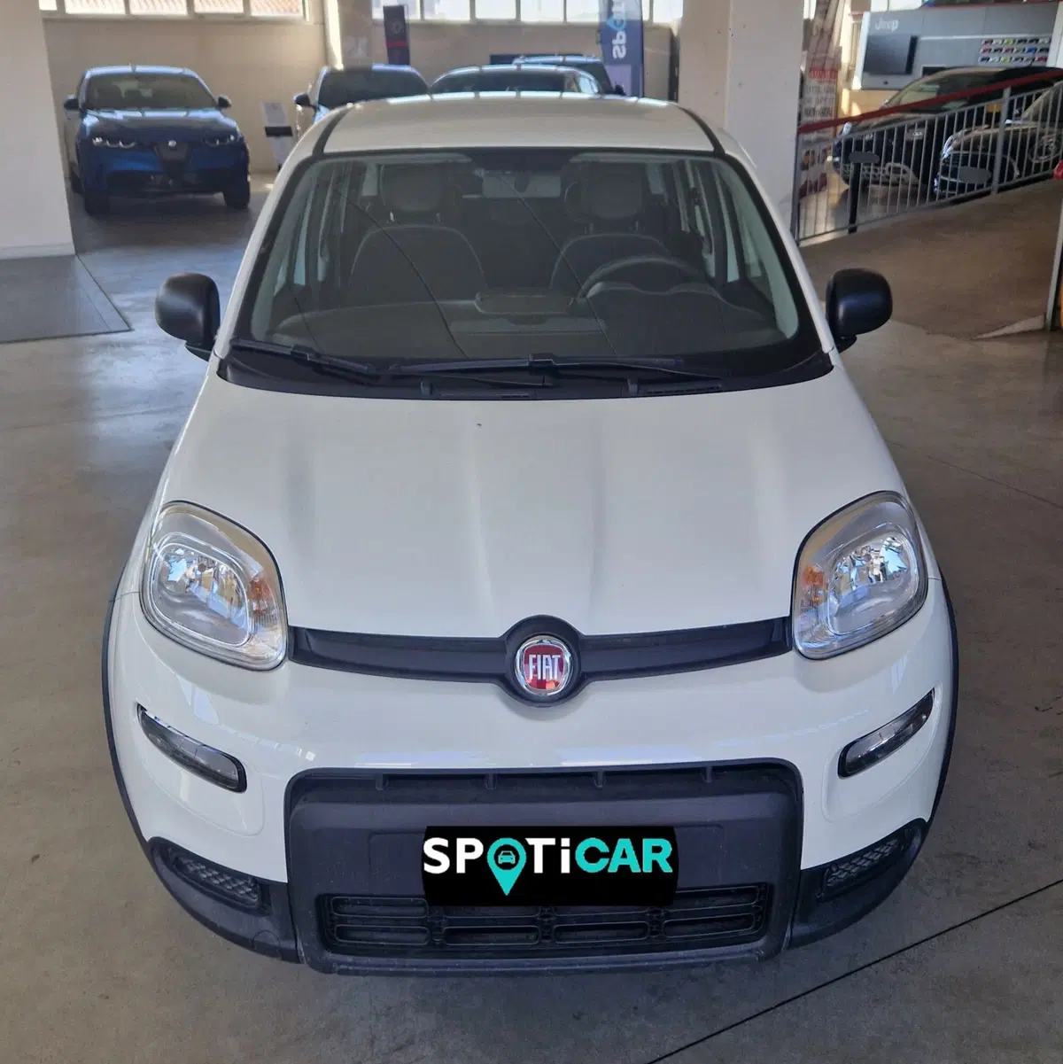 Fiat Panda usata a Terni (2)