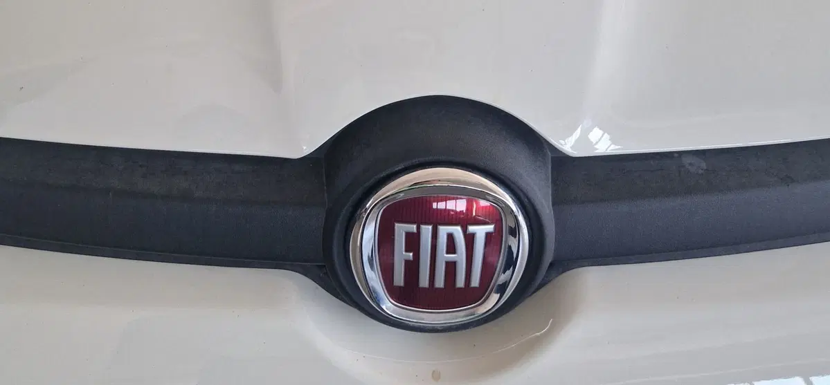 Fiat Panda usata a Terni (20)
