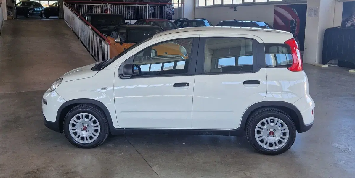 Fiat Panda usata a Terni (3)