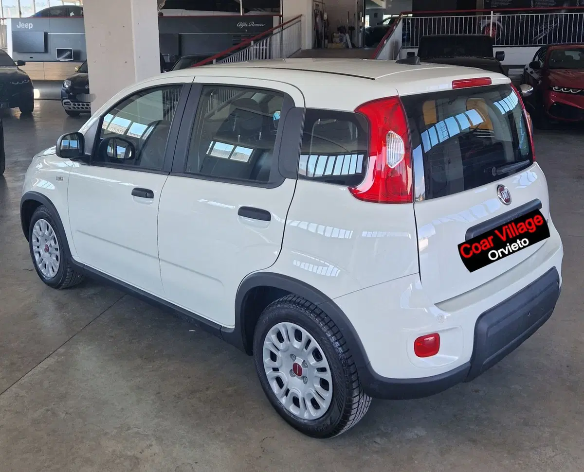 Fiat Panda usata a Terni (4)