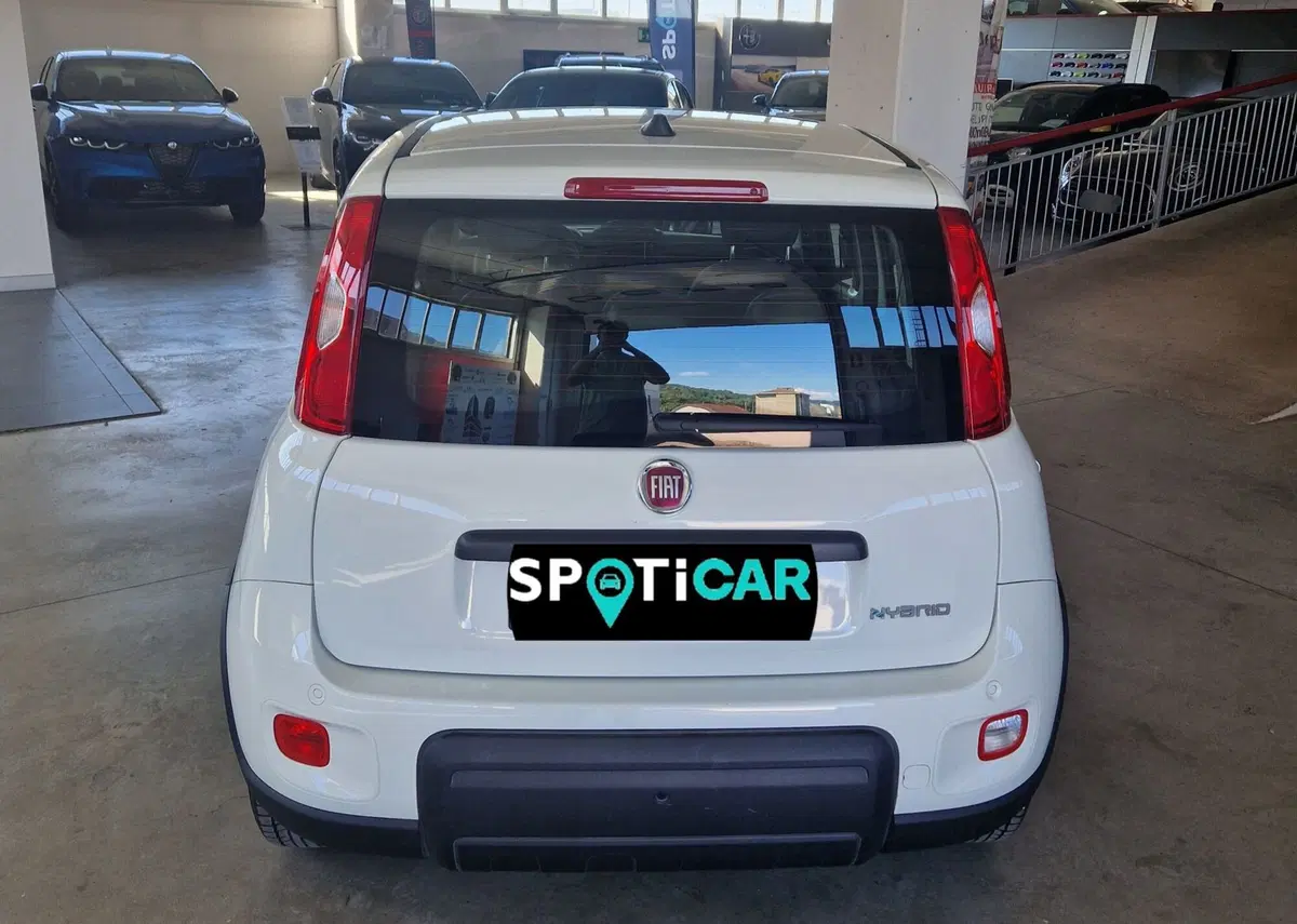 Fiat Panda usata a Terni (5)