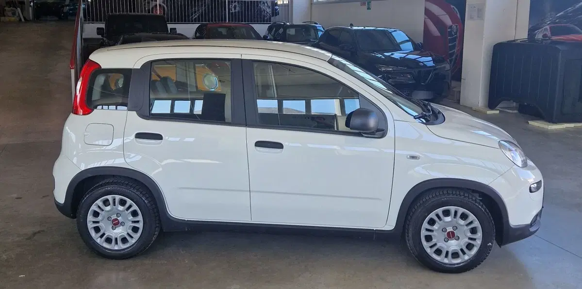 Fiat Panda usata a Terni (6)