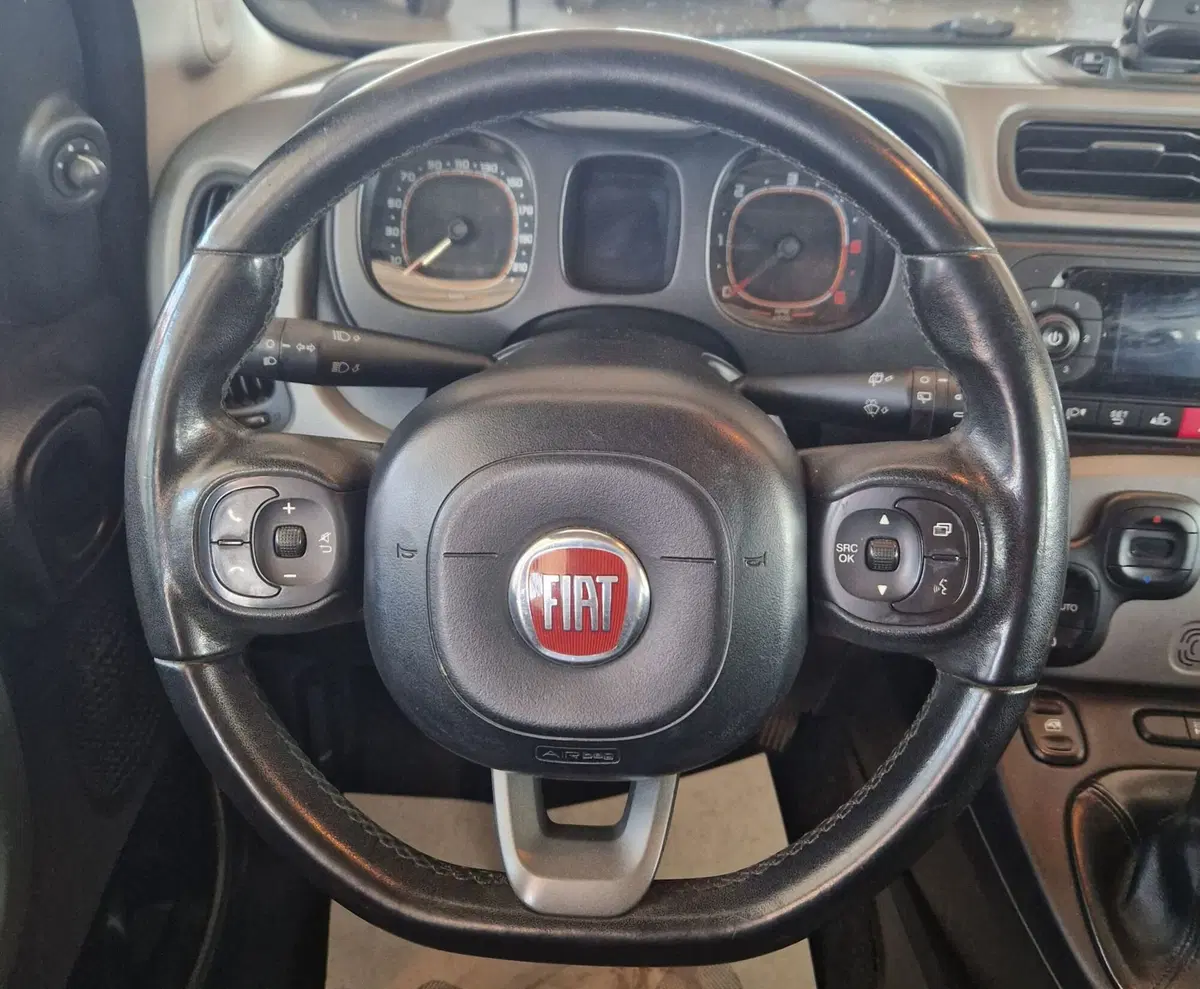 Fiat Panda usata a Terni (12)