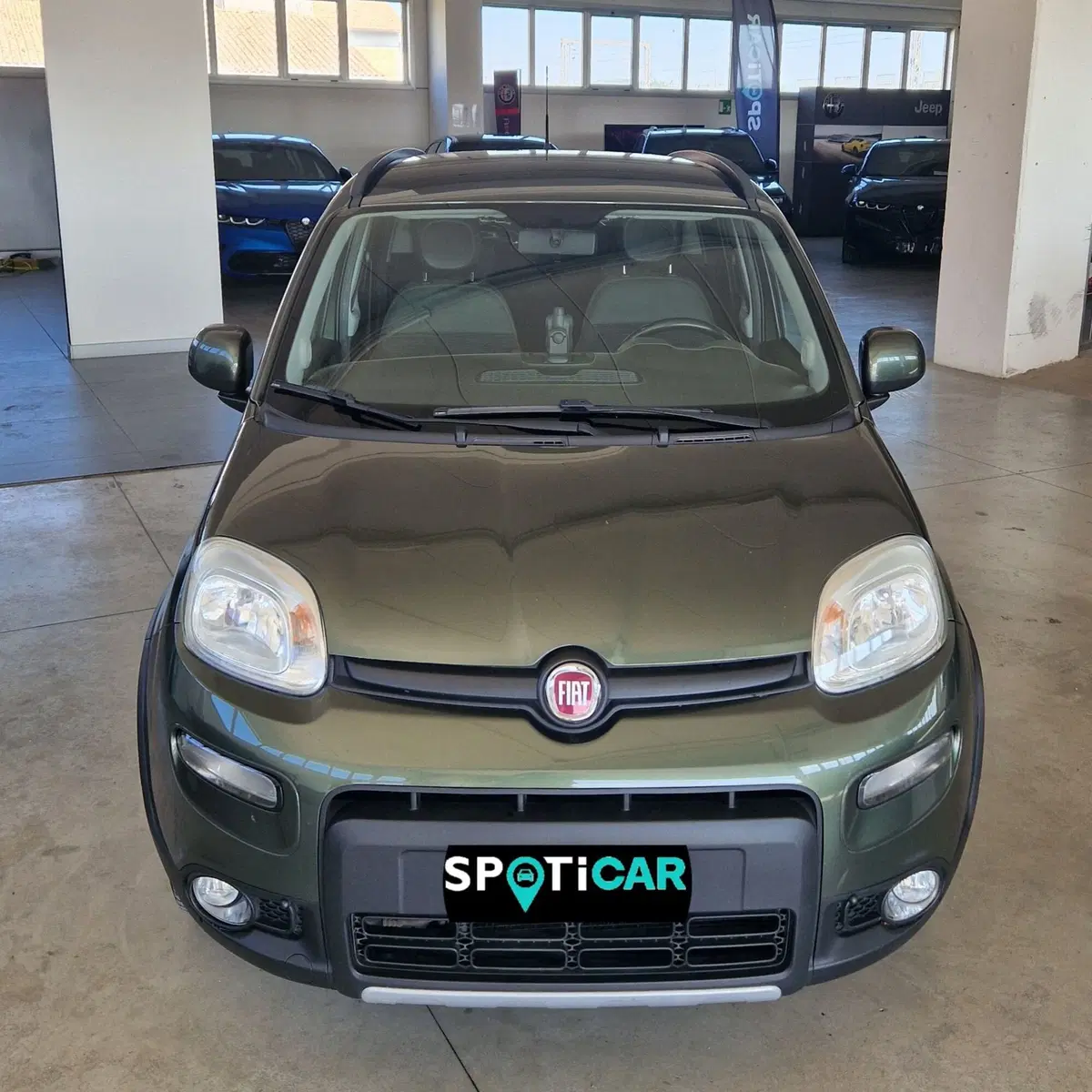 Fiat Panda usata a Terni (2)