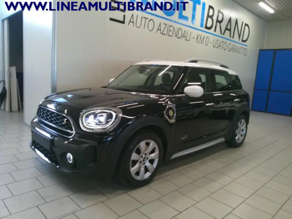 MINI Mini Countryman usata a Piacenza (3)