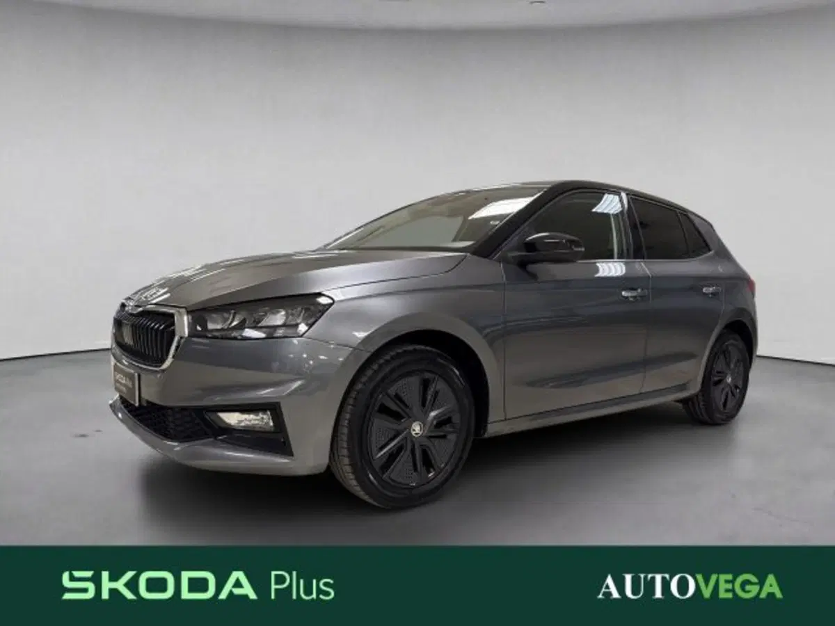 Skoda Fabia usata a Vicenza
