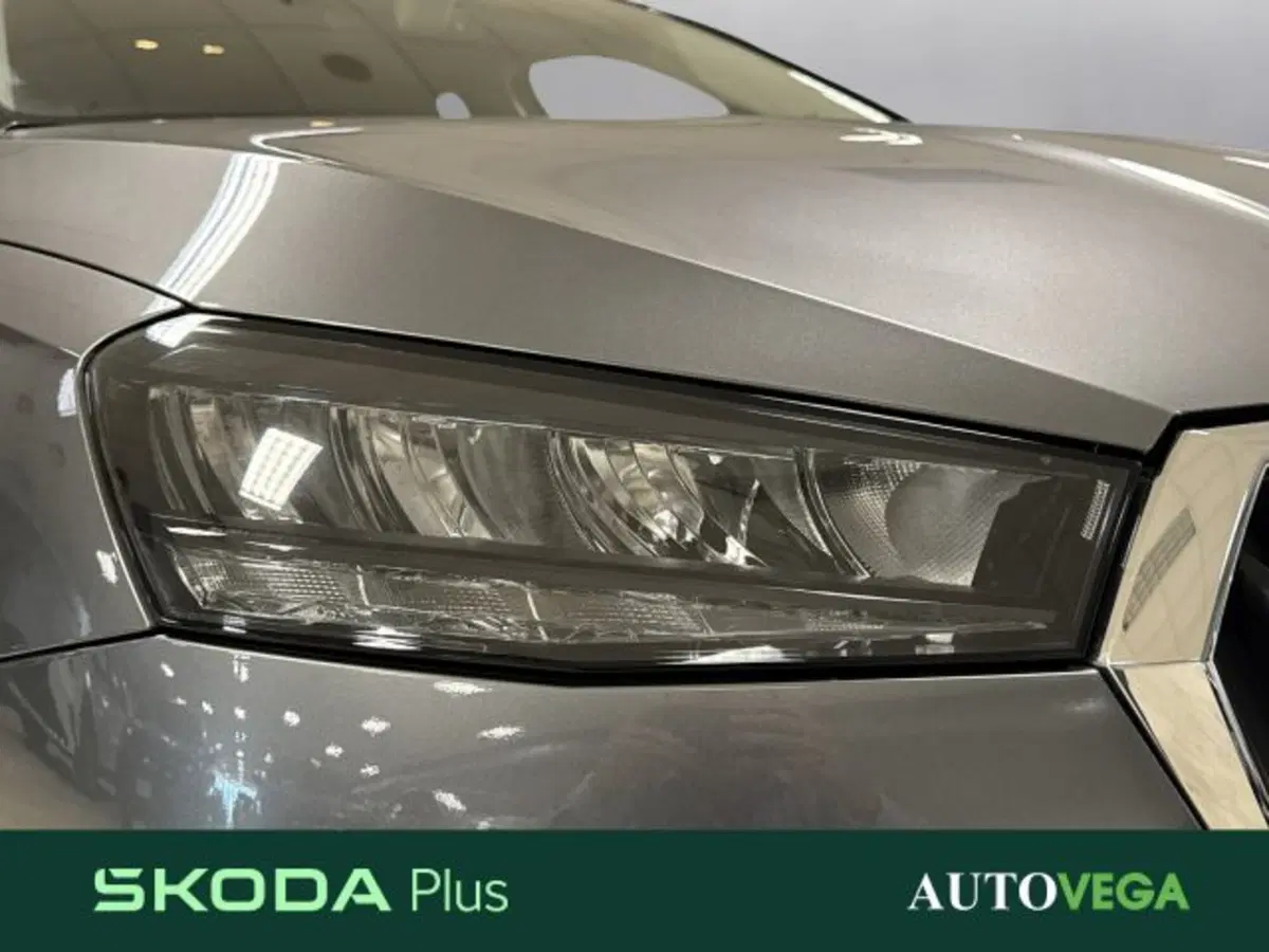 Skoda Fabia usata a Vicenza (19)