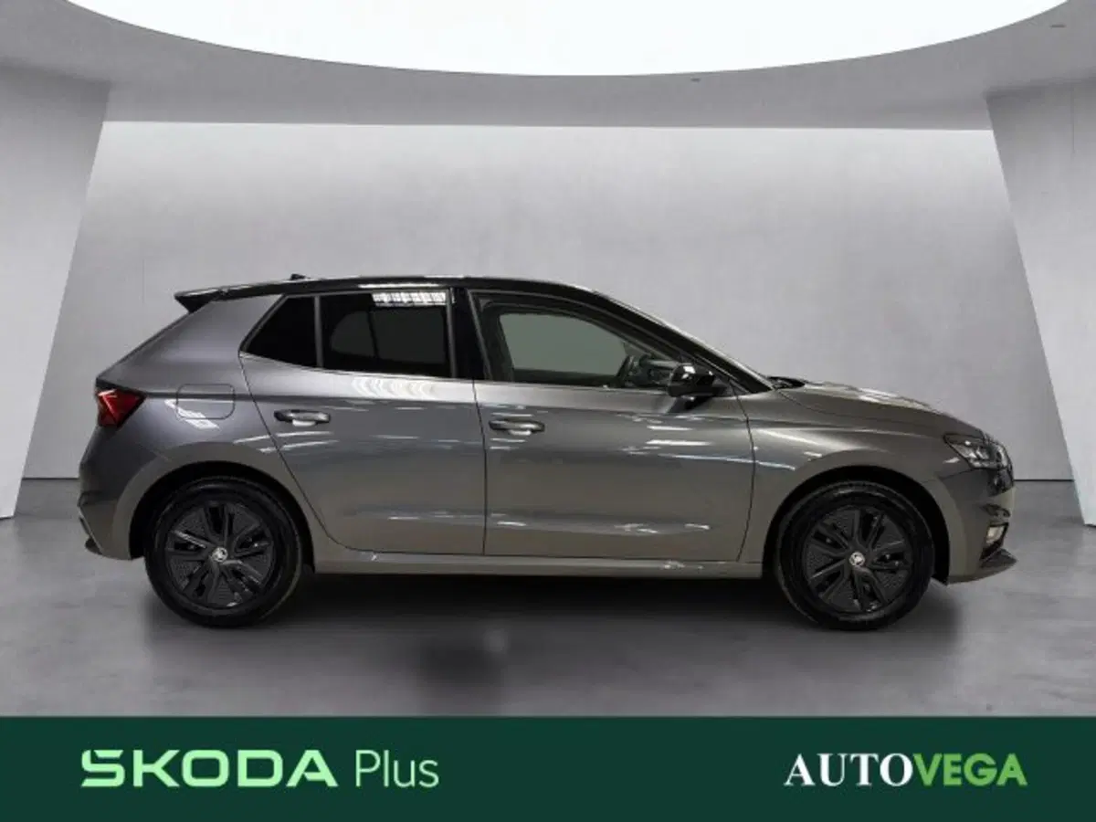 Skoda Fabia usata a Vicenza (3)