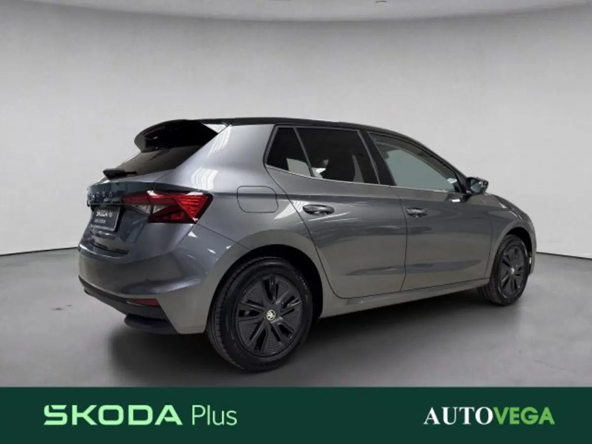 Skoda Fabia usata a Vicenza (4)
