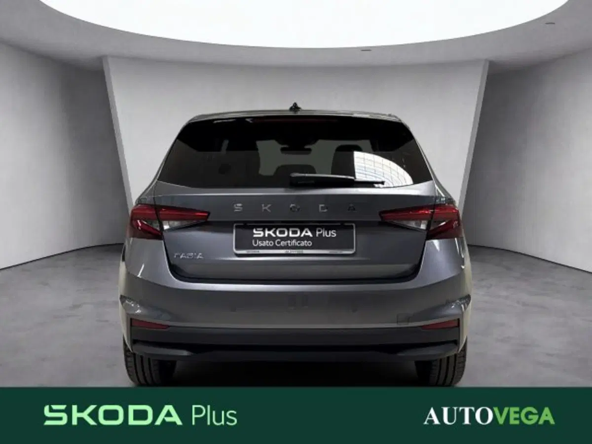 Skoda Fabia usata a Vicenza (5)