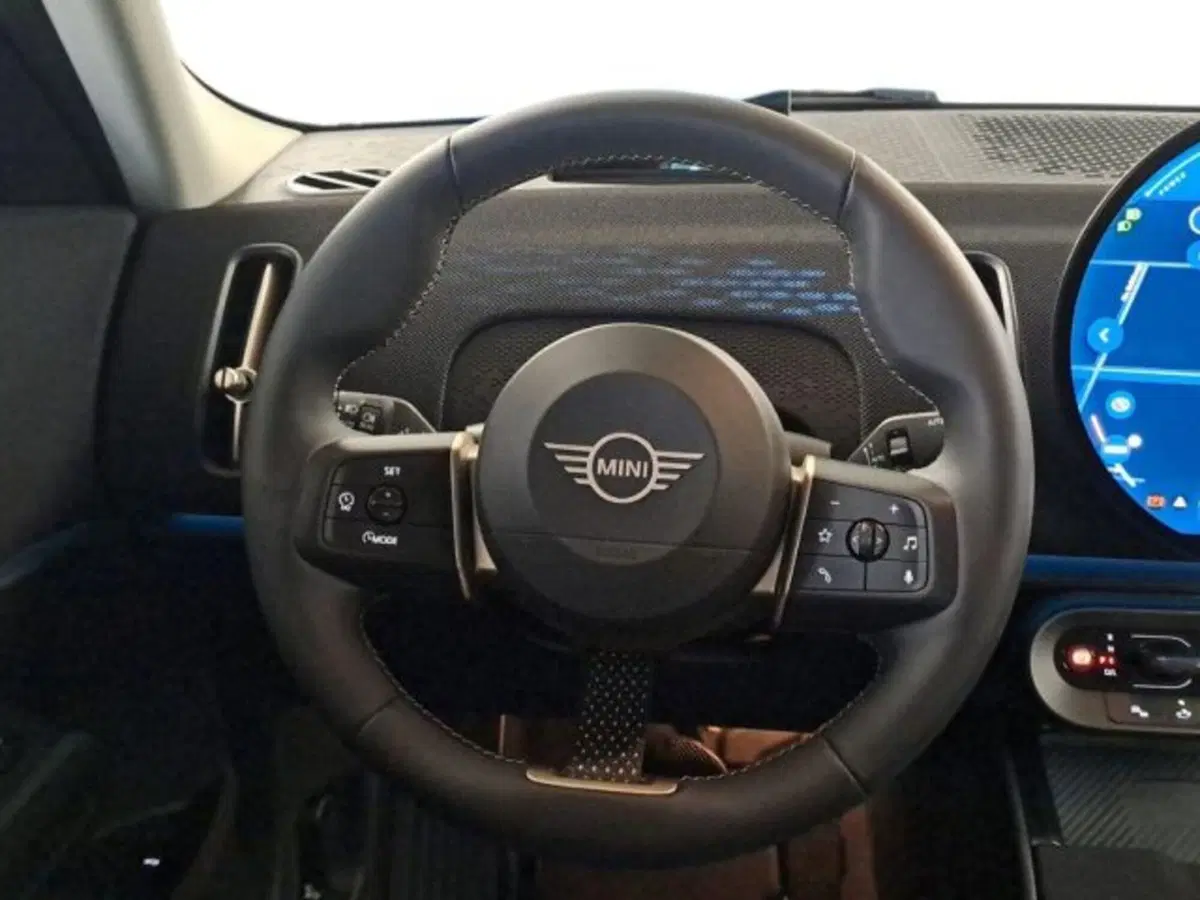 MINI Mini Countryman usata a Verona (10)