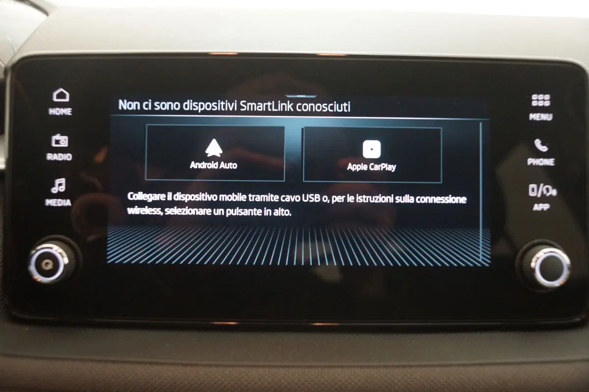 Skoda Fabia usata a Torino (18)