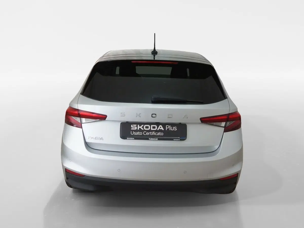 Skoda Fabia usata a Torino (5)