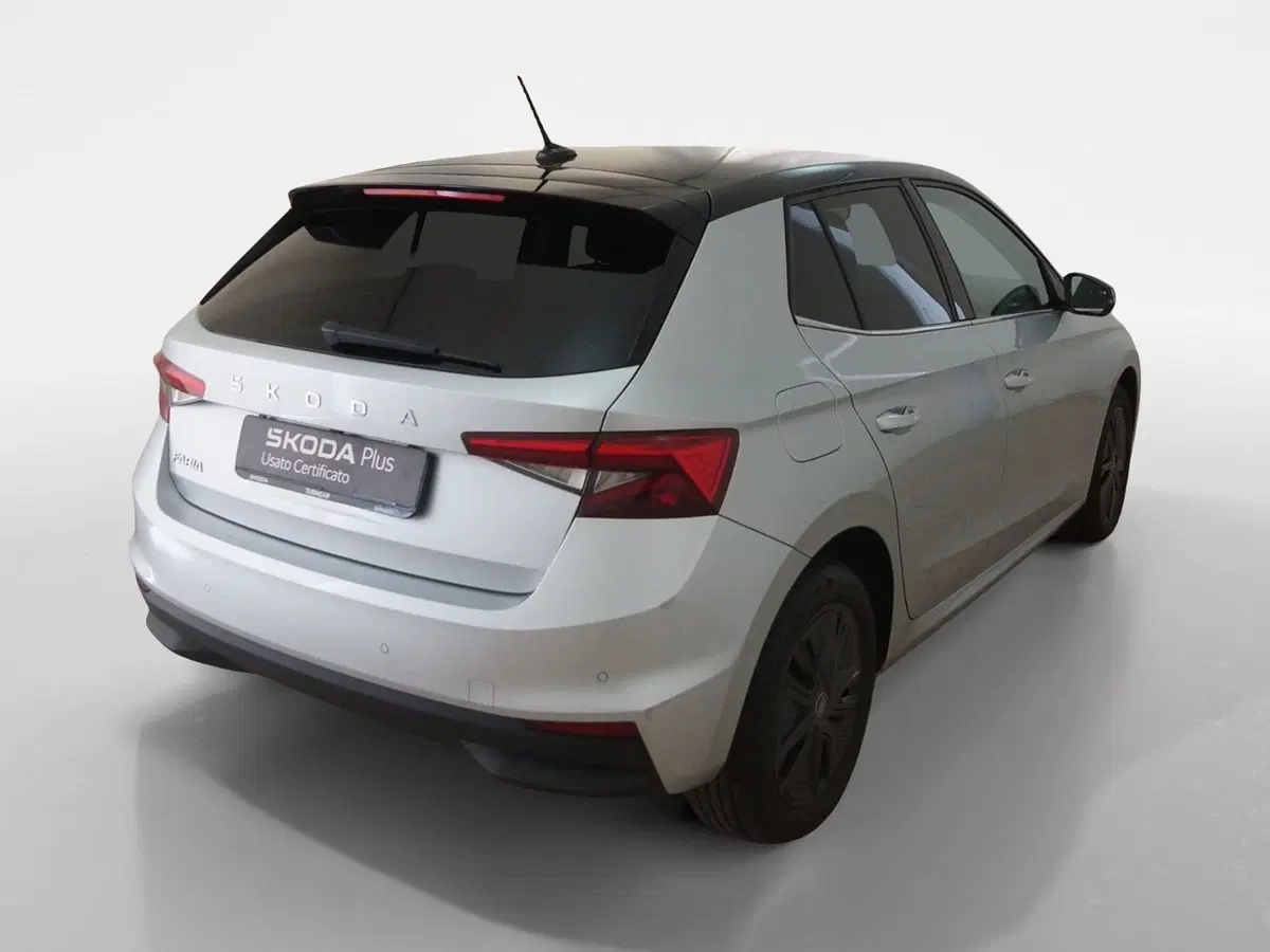 Skoda Fabia usata a Torino (6)