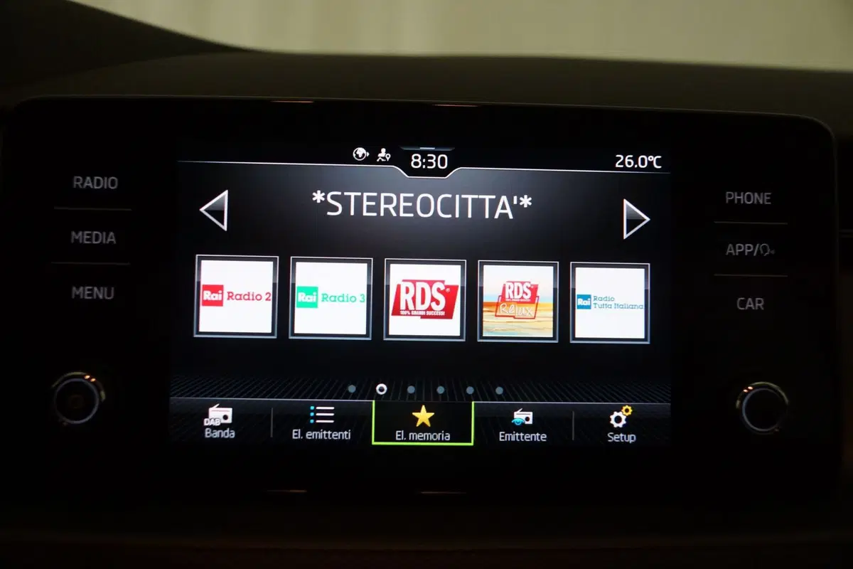 Skoda Kamiq usata a Torino (16)