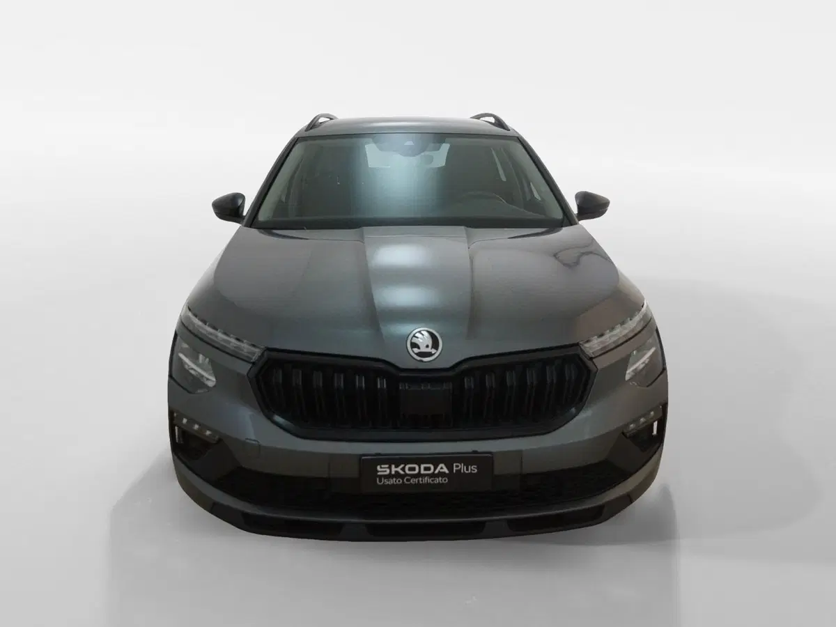 Skoda Kamiq usata a Torino (2)
