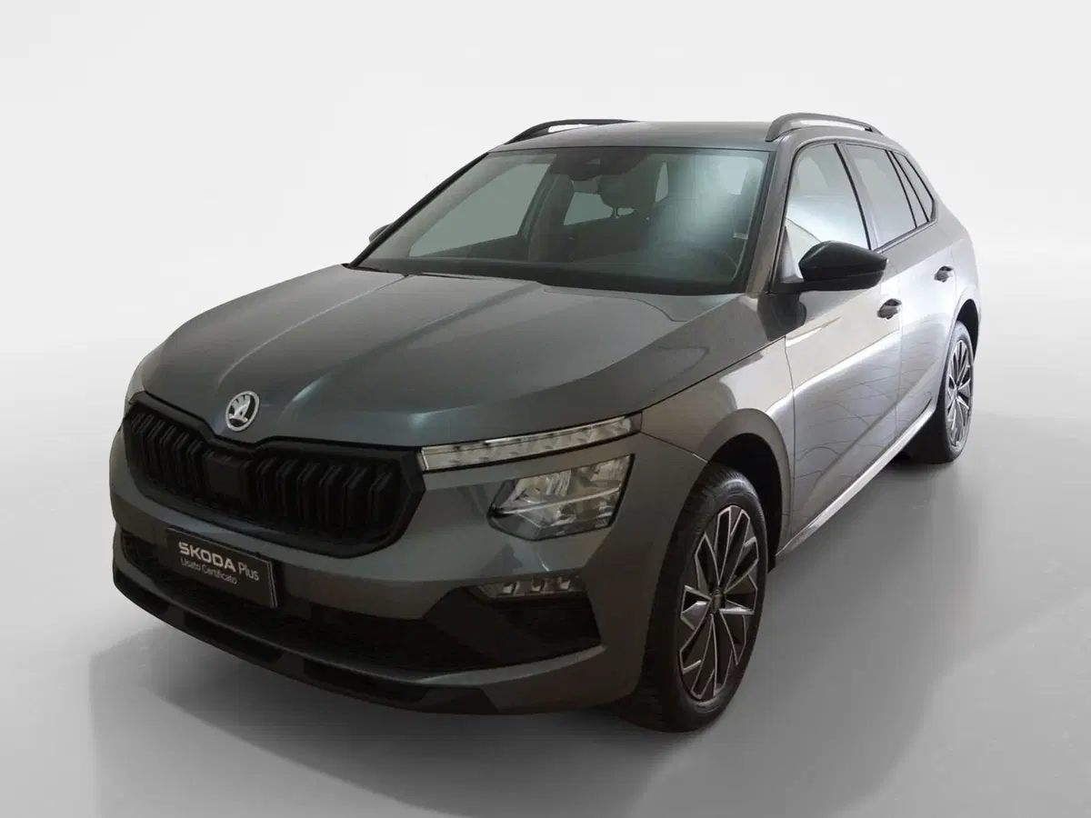 Skoda Kamiq usata a Torino (3)