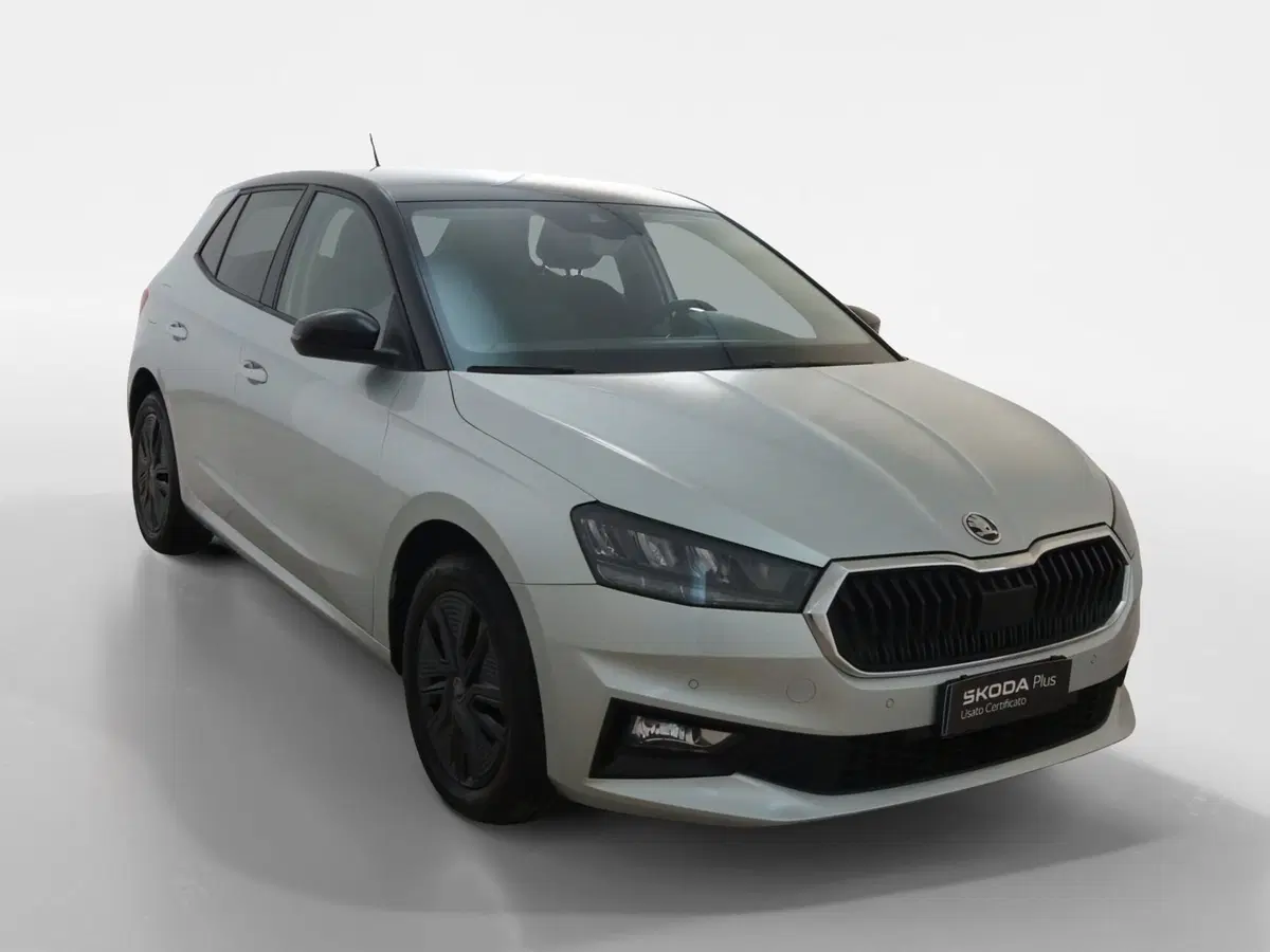 Skoda Fabia usata a Torino