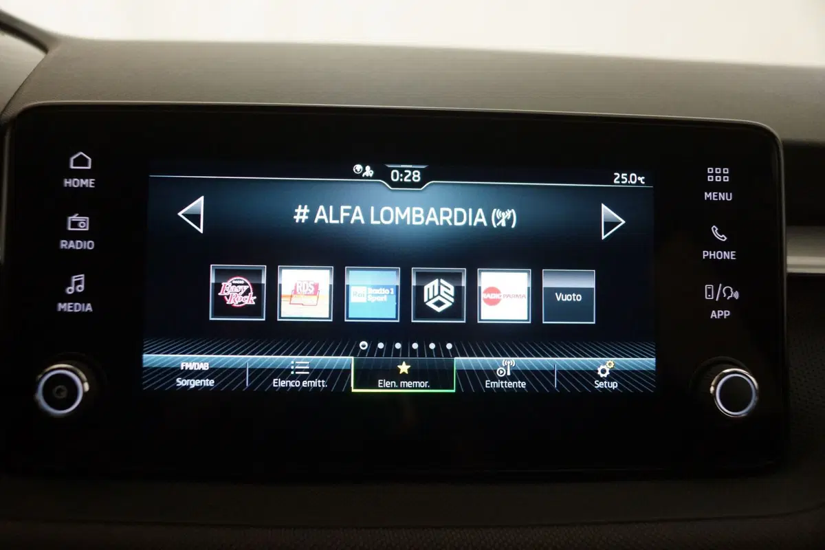 Skoda Fabia usata a Torino (17)