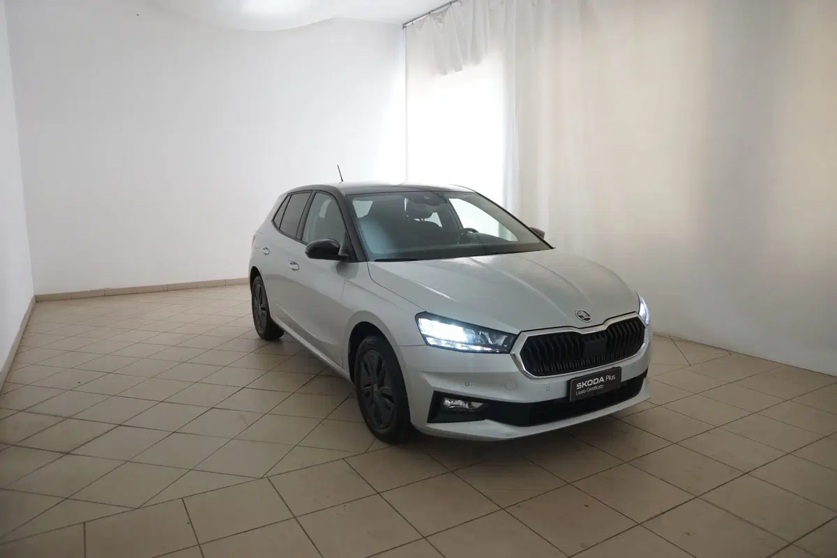 Skoda Fabia usata a Torino (19)