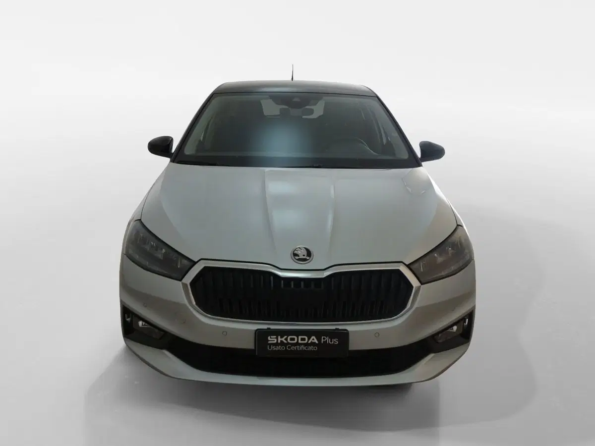 Skoda Fabia usata a Torino (2)